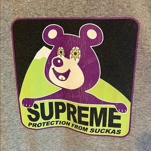 SUPREME PROTECTION FROM SUCKAS TEE FW20 SIZE LARGE GRAY